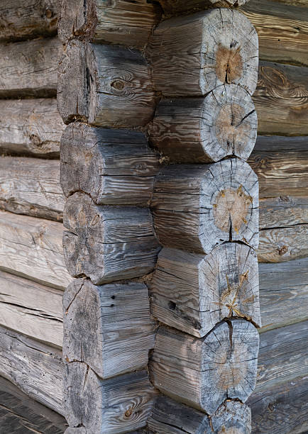 istock the texture of an old tree, vertical photo 2233061703