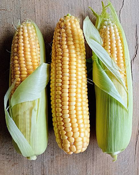 istock A horizontal row of ripe corn with leaves, showcasing vibrant yellow kernels on a rustic wooden background. A top-down view for fresh summer harvest themes 2233062068