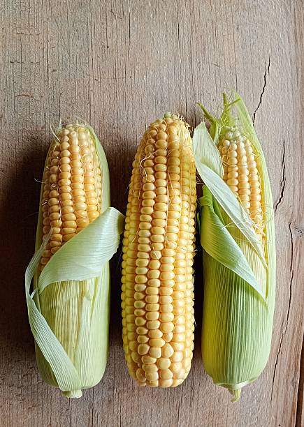 A horizontal row of ripe corn with leaves, showcasing vibrant yellow kernels on a rustic wooden background. A top-down view for fresh summer harvest themes