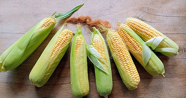 istock A horizontal row of ripe corn with leaves, showcasing vibrant yellow kernels on a rustic wooden background. A top-down view for fresh summer harvest themes 2233062776