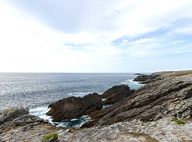 istock View of the wild coast 2233062779