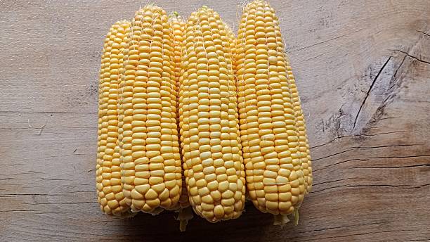A horizontal row of ripe corn, showcasing vibrant yellow kernels on a rustic wooden background. A top-down view for fresh summer harvest themes