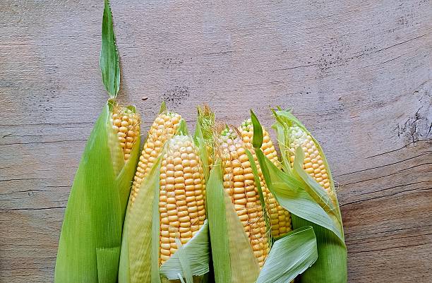 A horizontal row of ripe corn with leaves, showcasing vibrant yellow kernels on a rustic wooden background. A top-down view for fresh summer harvest themes
