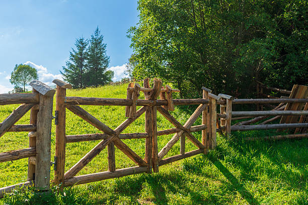 Handcrafted wooden gate with cross beams stands on a sunny meadow surrounded by trees. The warm light highlights traditional rural craftsmanship, ideal for themes of farming, countryside lifestyle, and eco-tourism.