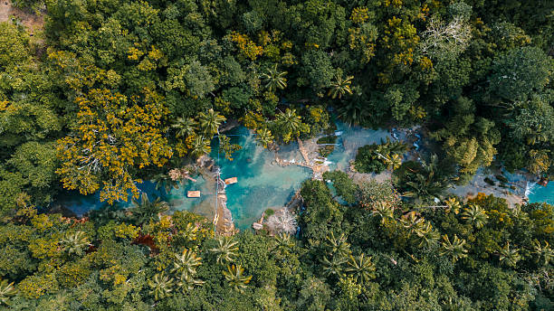 istock River and palm forest from the sky 2233077842