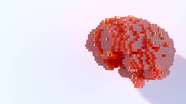 istock Digital pixelated brains shape on white background. AI - Artificial Intelligence concept. Neural network. Machine Learning Concepts 2233083154