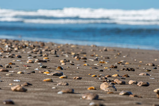 istock Stones in the sand at the seashore. 2233083849