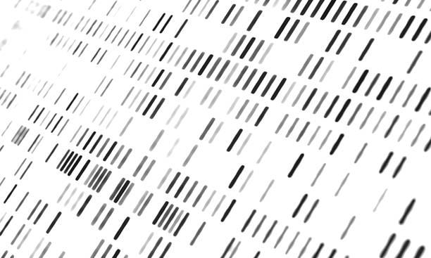 istock Close up DNA patterns, genetic screening, DNA sequencing, genomic science and genetic analysis. 2233085105