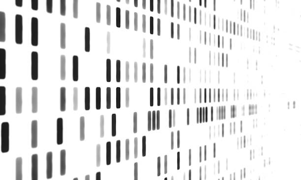 Close up DNA patterns, genetic screening, DNA sequencing, genomic science and genetic analysis. DNA testing, chromosome, cloning, genetic modification, scientific experiment. 3D illustration