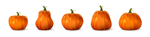 istock Pumpkin set in various shapes and sizes. Realistic orange gourds with green stems on white background. Autumn harvest, Thanksgiving, Halloween decoration concept. Vector illustration 2233088187
