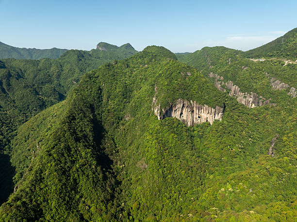 istock Green forest in the mountains 2233091694