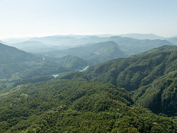 istock Green forest in the mountains 2233091750
