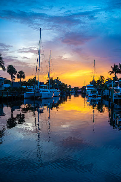 Tranquil sunrise reflecting on water palm tree silhouettes.