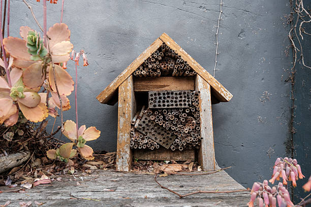 Wooden housing on a bench to attract pollinating insects in a public garden.