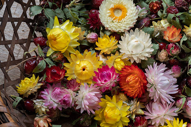 Colorful dried flower bouquets displayed at a rustic outdoor market stall, showcasing autumnal yellows, oranges, blues and whites. A festive, craft-filled scene recalling handmade floral decor and street markets.