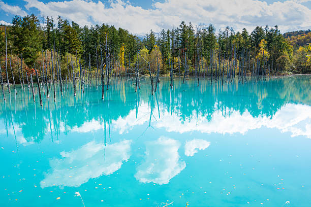 istock Autumn blue pond reflecting the blue sky 2233100932