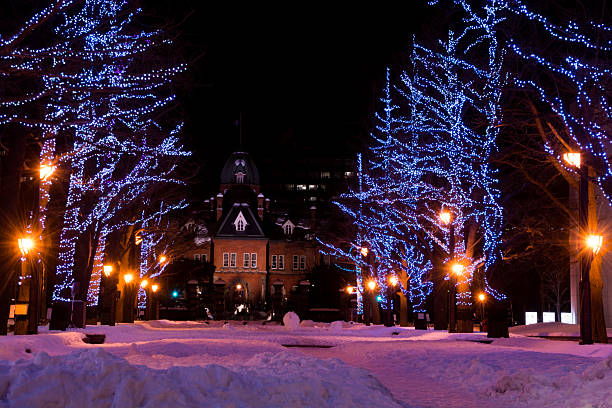 istock Winter town decorated with illuminations 2233101156