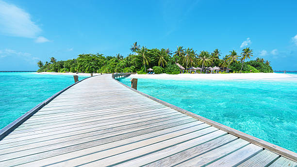 istock Overwater footbridge into the tropical paradise island 2233102033