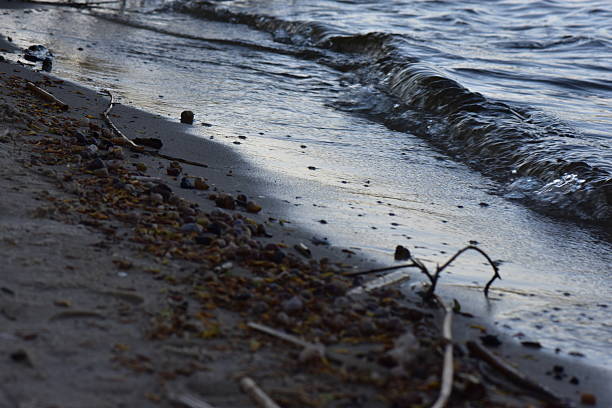 Waves on the shore of the Dnieper River