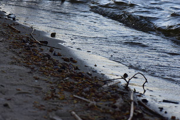 Waves on the shore of the Dnieper River