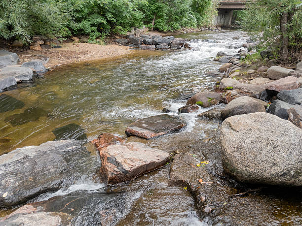 wide stream amidst a green forest, summer day.  dilapidated bridge in the distance