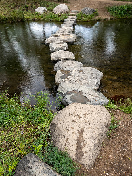 istock Stepping stones crossing a tranquil stream in a lush garden 2233106011