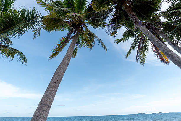 Beautiful nature sea summer background,Sand beach