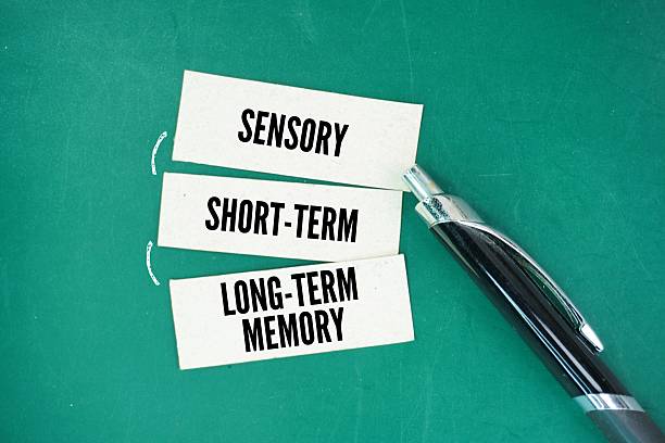 istock White paper with word Sensory, Short-Term, and Long-Term Memory. three main types of memory, representing a sequential process where information flows from the senses to temporary storage. 2233110871