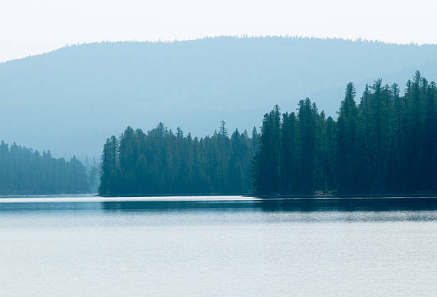 Majestic landscape of alpine lake with pine forest and background view of mt Hood in morning fog, Oregon state