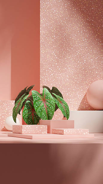 istock block and sphere, 3d rendering template mockup pink color block shape in portrait 2233113423