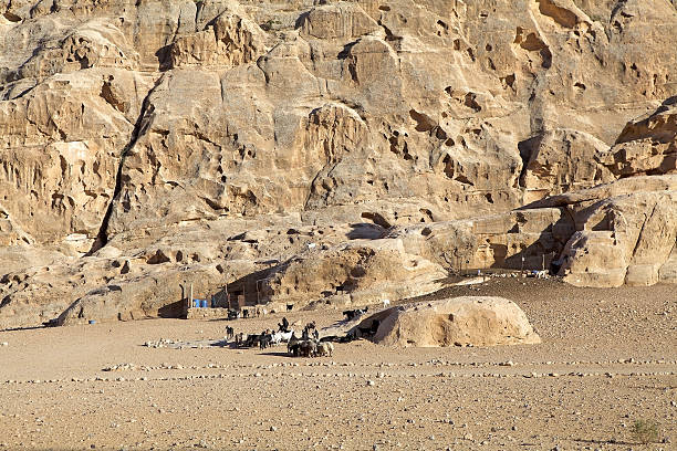 Bedouin goats at Little Petra, Jordan. Bedouin are pastorally nomadic tribes