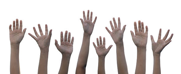 istock Children's hands are raised up with white background 2233114635