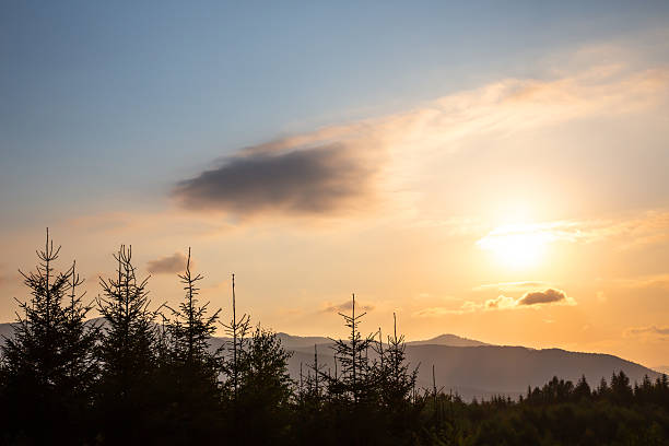 istock Sunset over mountains with silhouetted trees in the foreground during golden hour 2233118877