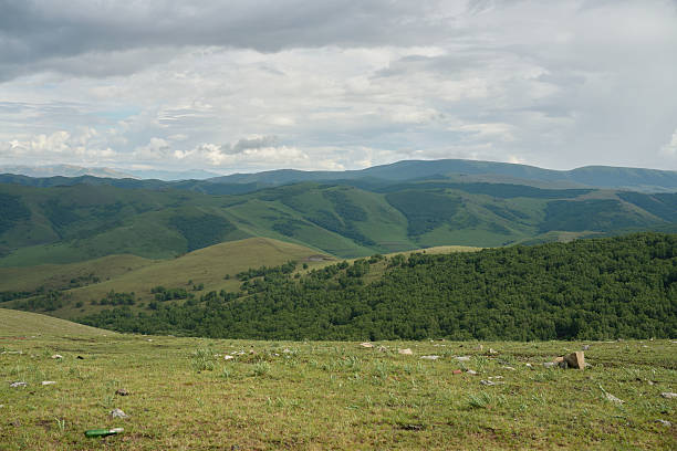 Expansive Hilly Landscape Under a Cloudy Sky with Verdant Green Forests and Grassy Plains