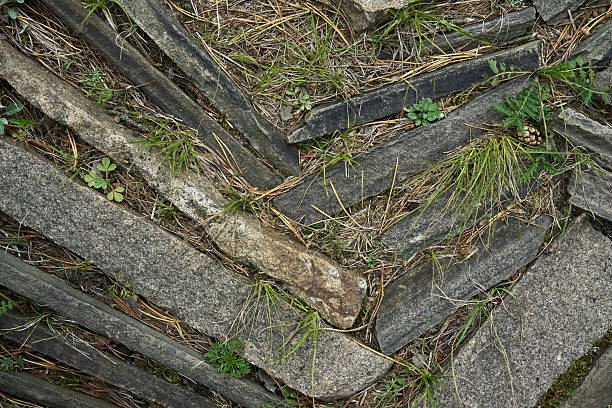 Close Up Of A Herringbone Paving Pattern With Grass Growing Through The Gaps
