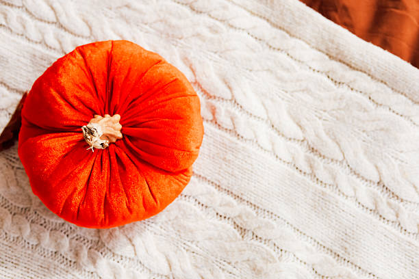Bright orange pumpkin decorates cozy blanket in autumn setting