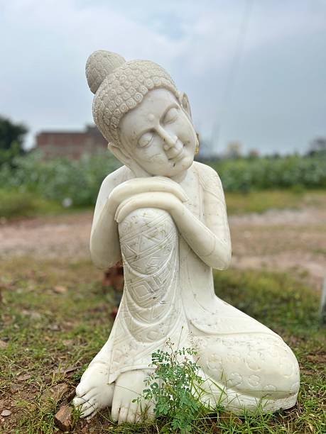 istock Peaceful Buddha Statue in a Green Field 2233123702