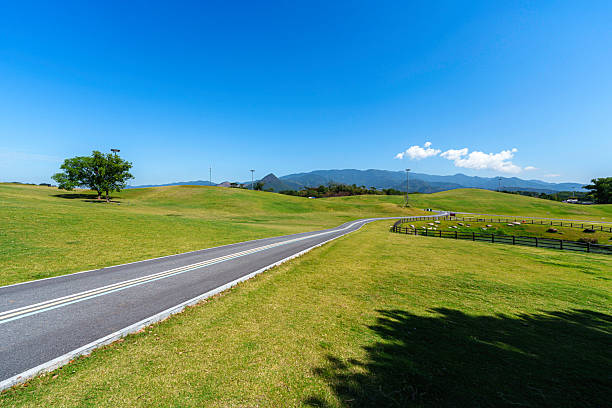 road on the grassland
