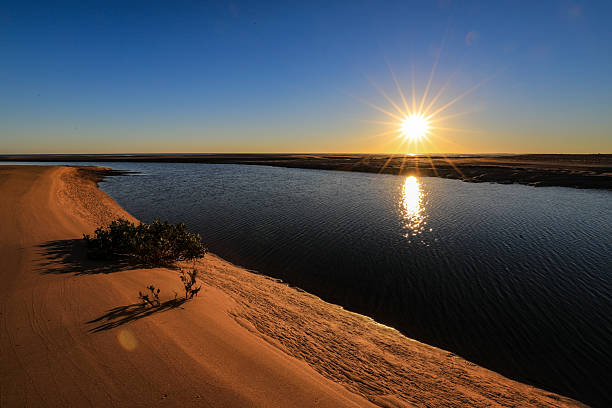 istock Port Hedland beach at low tide, featuring a lone tree standing against the horizon and intricate natural patterns in the sand 2233133425