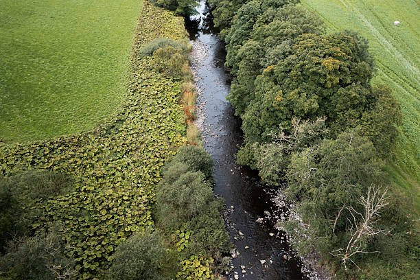 istock Drone view of a river in Scotland 2233133468