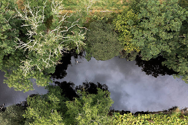 The view from a drone directly above a river in rural Scotland on an overcast summer day