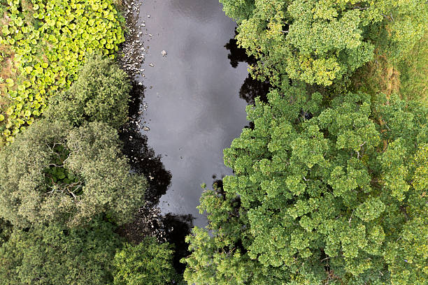 istock The view from a drone directly above a river 2233133586