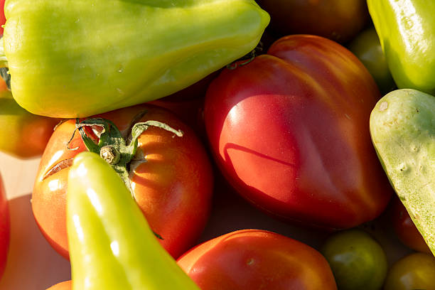 istock A bunch of vegetables including tomatoes, cucumbers, and peppers 2233135154