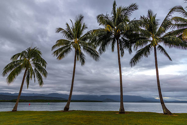 ANZAC Park in Port Douglas, Queensland, featuring lush tropical gardens, palm trees, shaded walkways, and commemorative memorials. A peaceful public space highlighting the region’s community, heritage, and coastal charm