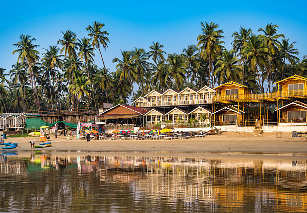 istock Beachfront Resort with Palm Trees and Vibrant Atmosphere in Goa, India 2233143439