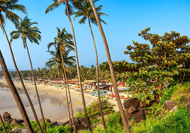 istock Scenic Tropical Beach Paradise with Palm Trees in Goa, India 2233143644