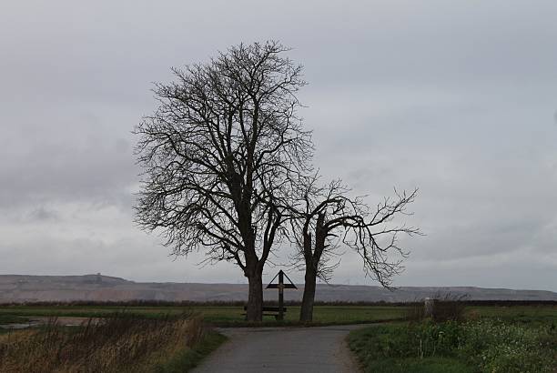 Chestnut trees with a cross in front of the Hambach lignite opencast mine in Bürgewald (formerly Morschenich-Alt), North Rhine-Westphalia, Germany, December 01, 2021