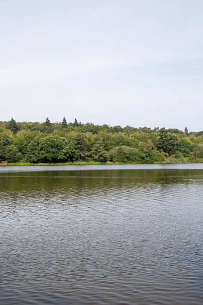 istock The Virginia Water Lake 2233155579