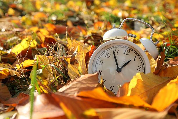 istock Alarm clock on dry leaves in park, closeup. Space for text 2233155718