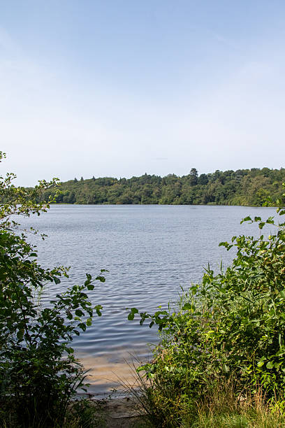istock The Virginia Water Lake 2233155814